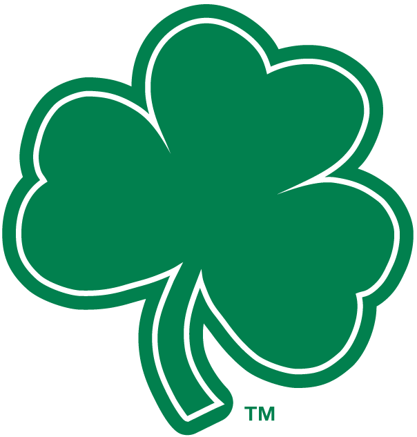 Notre Dame Fighting Irish 1994-Pres Alternate Logo v7 iron on transfers for T-shirts